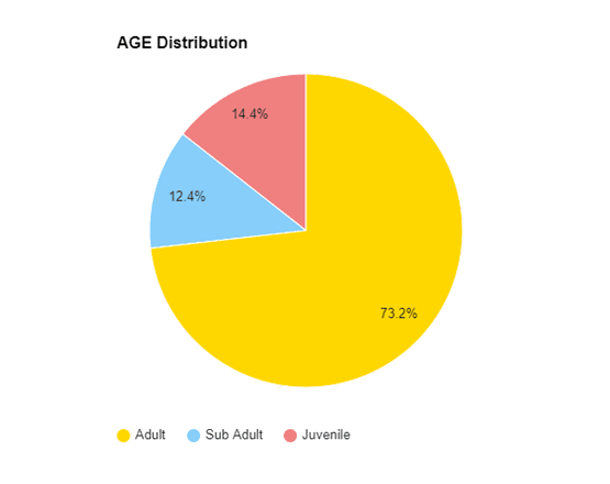 Age Distribution